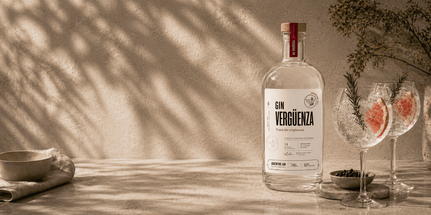 El mundo de Gin Vergüenza